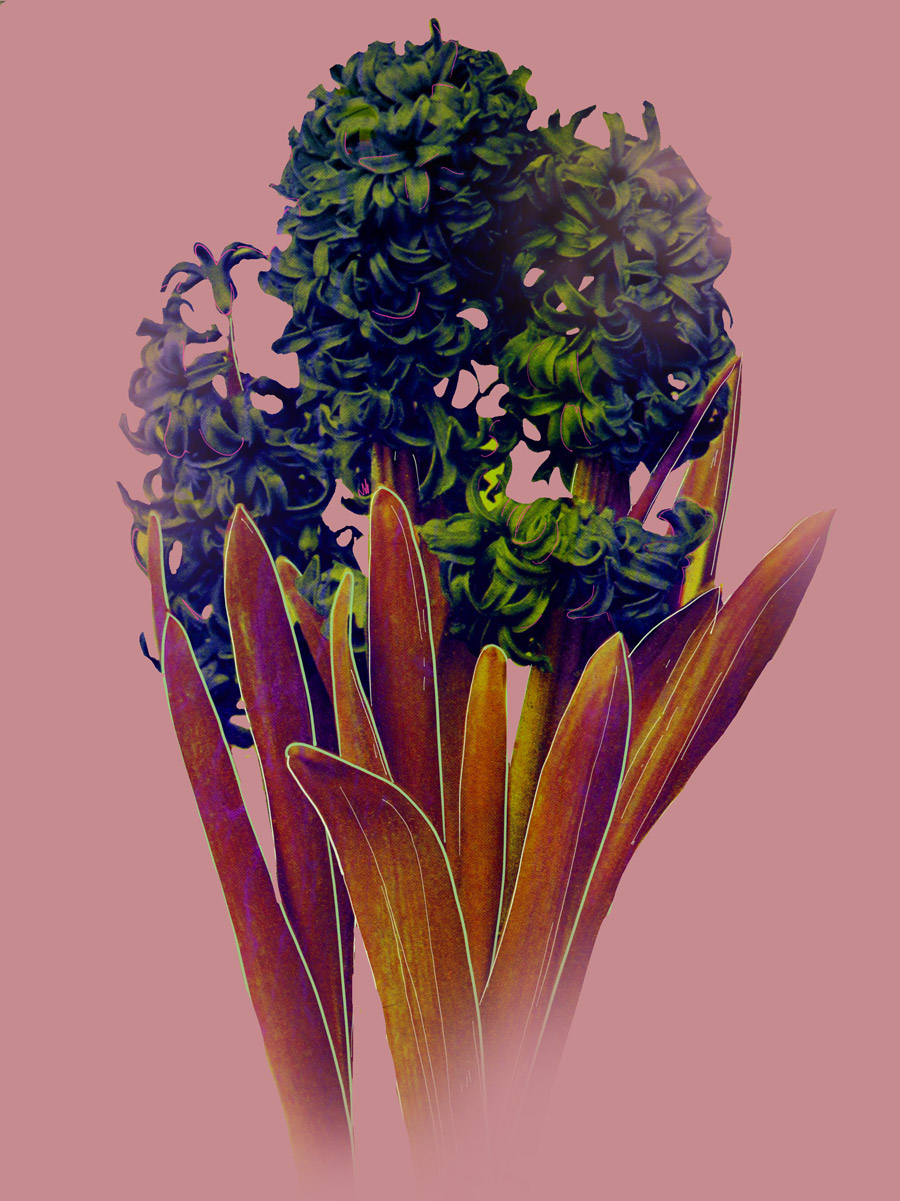 shan-gev-tall-flowers-V02